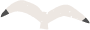 kamome